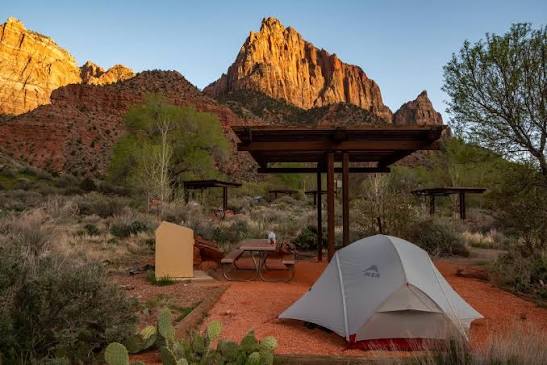 Summer Camping Essentials for Comfortable Family Adventures