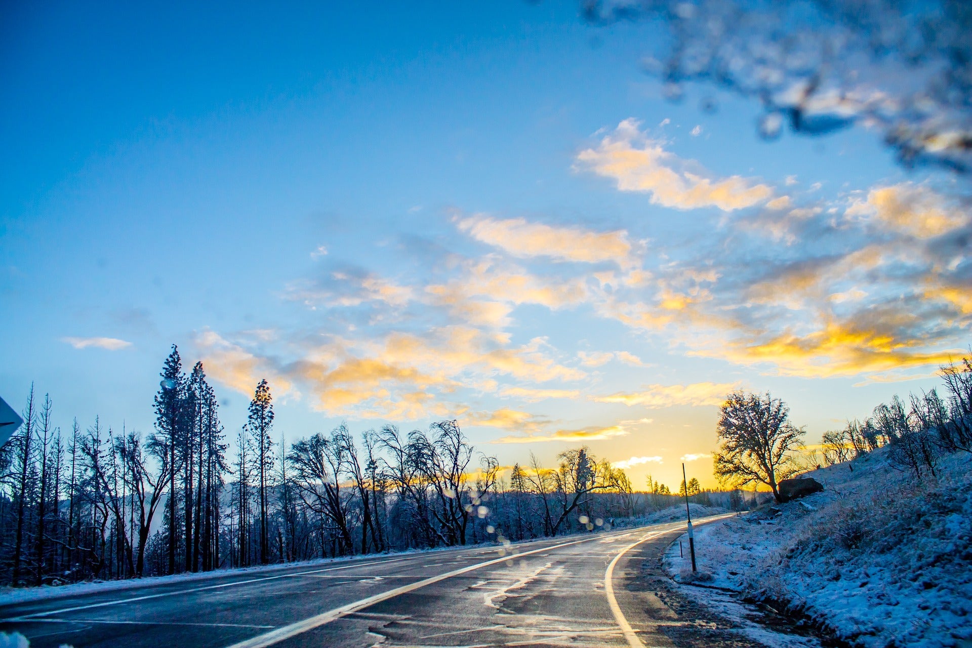 Winter Travel Essentials: Don’t Forget TickWise in Your Bag