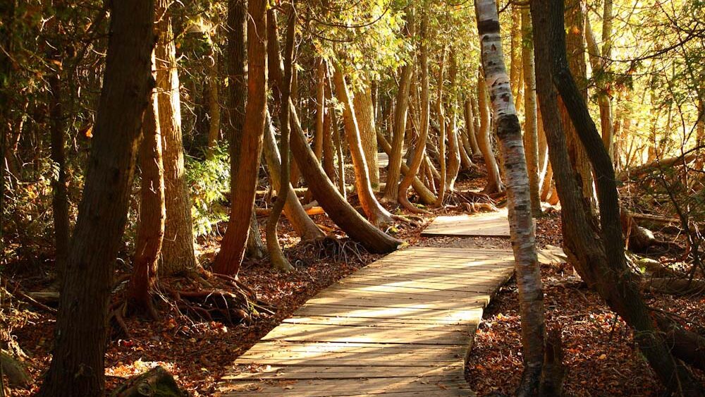 What to Pack for a Family Trail Day This Spring