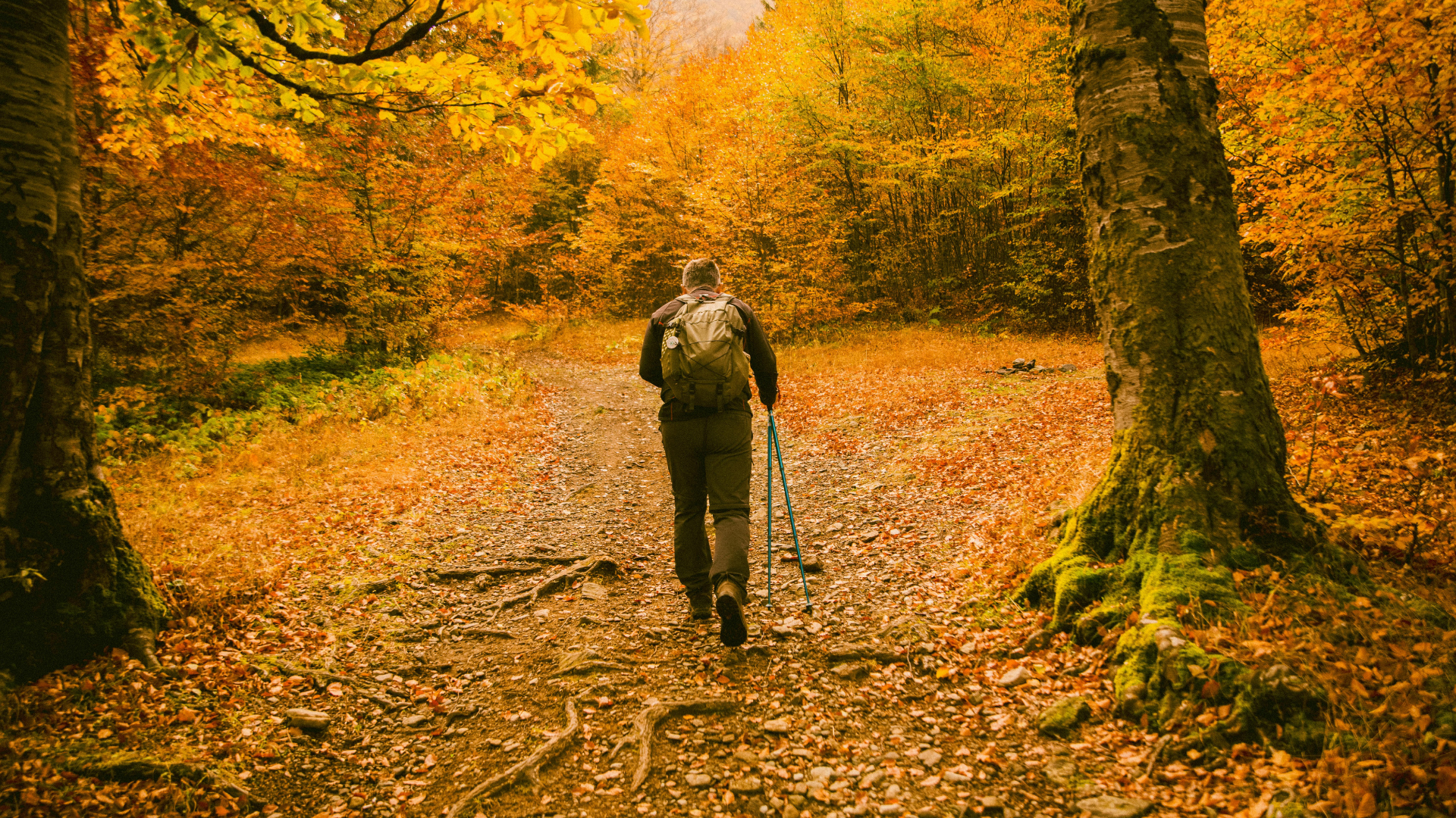 🍁 Your Fall Hike, Made Comfortable with TickWise