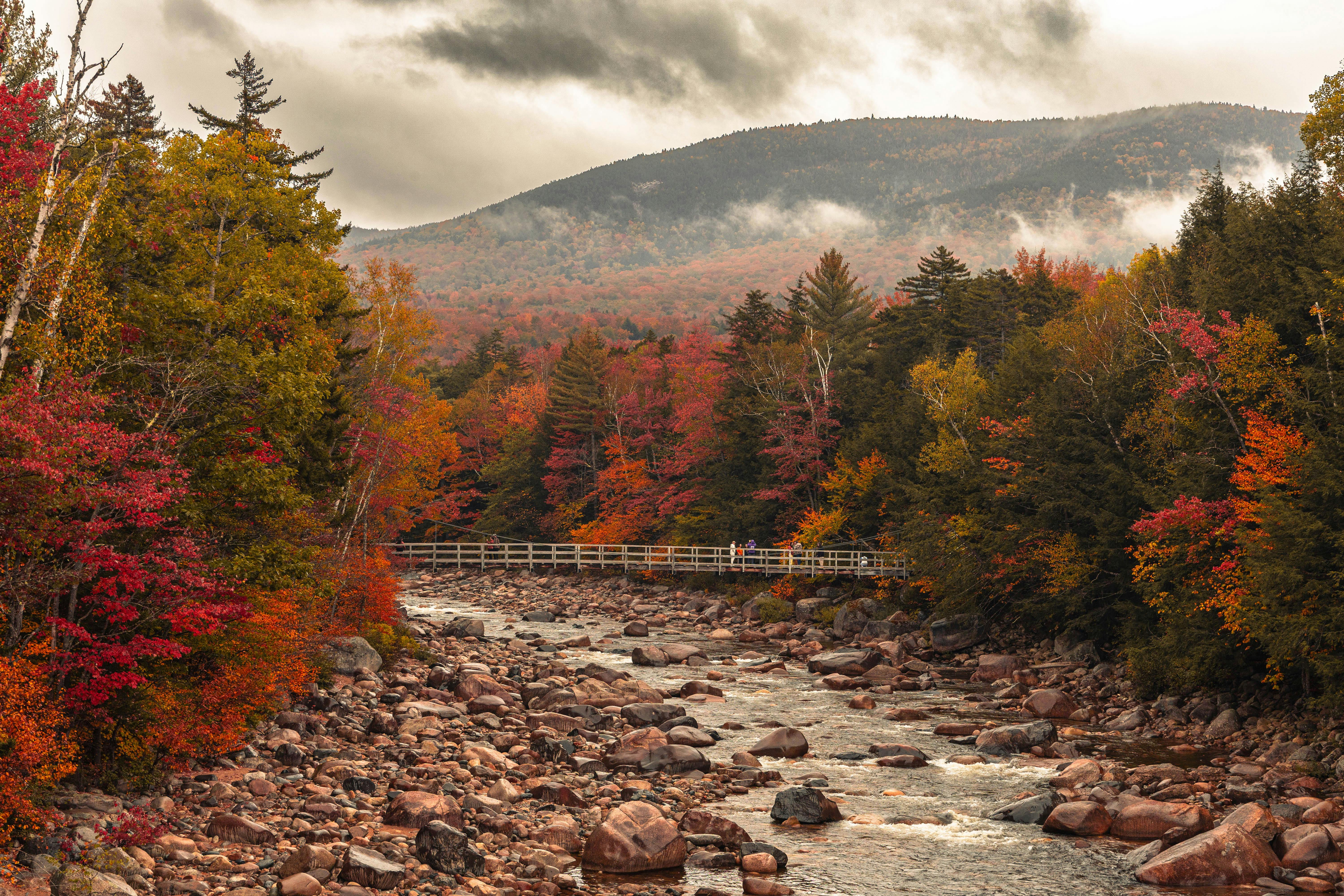 🍁 10 Fall Habits to Keep Your Family Comfortable (and Bug-Free) Naturally