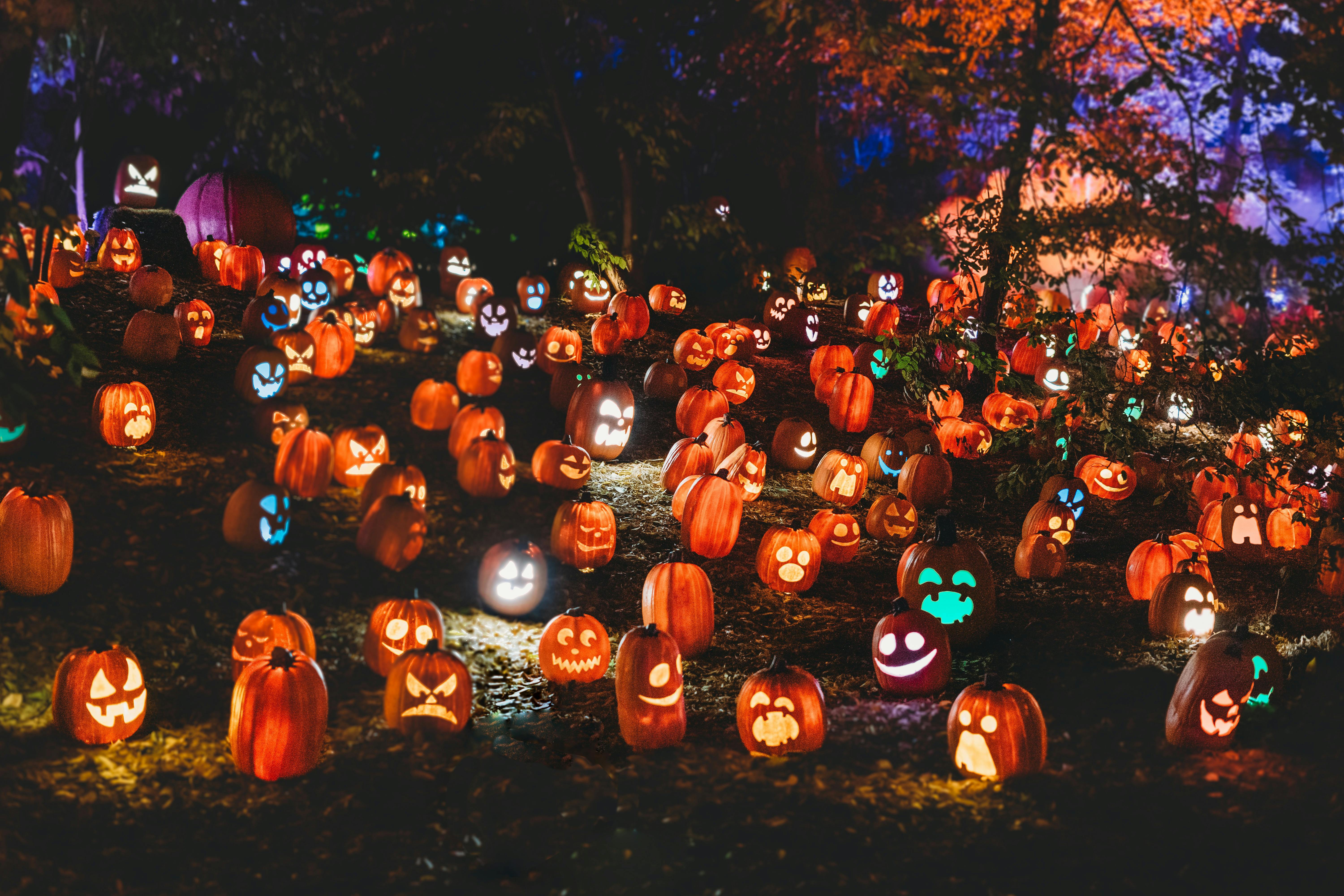 🎃 How to Make Halloween Night Naturally Comfortable with TickWise