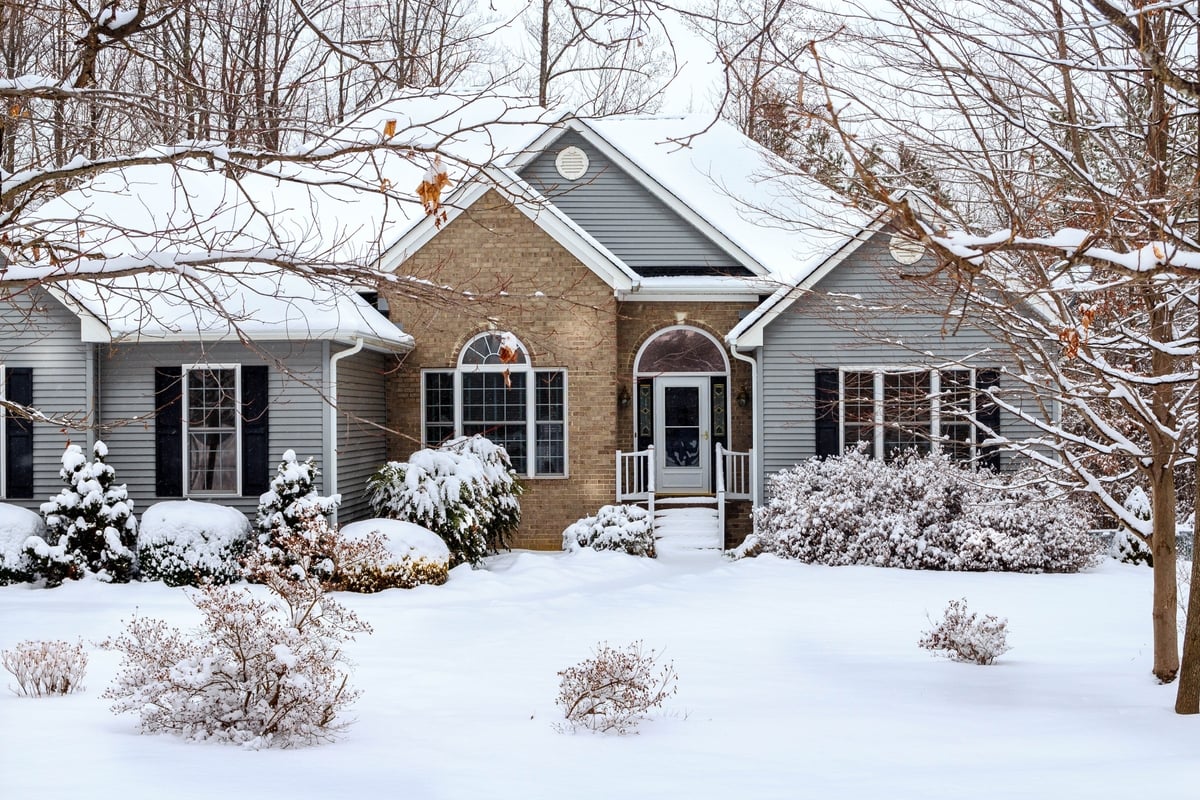 Why TickWise Belongs by the Door: The Easiest Outdoor Habit You’ll Keep